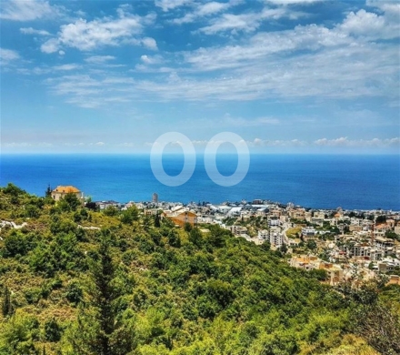 Lands for sale in Safra - 1000m2 Land+Mountain View|Prime Location| 4sale in Safra-ارض في الصفرا