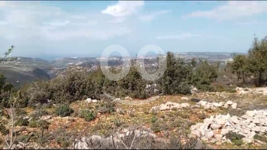 اراضي للبيع في دير بلا - Land for Sale Deir Billa Batroun Area 920Sqm