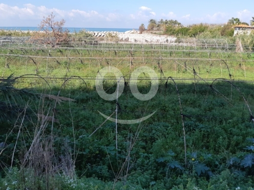 Lands for sale in Kaslik - 837m2 Land Sea View|Prime Location|4sale in Kaslik - أرض للبيع في الكسليك