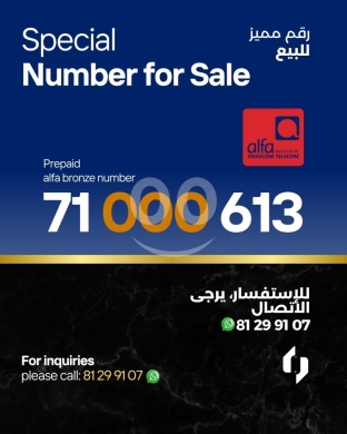 Number plates in Dam Wel Farez - Special number bronze
