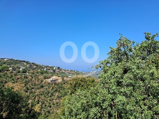 Land for Sale Hakel Jbeil Area 9380Sqm — 3