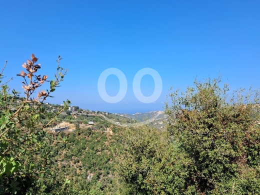 Land for Sale Hakel Jbeil Area 9380Sqm — 2