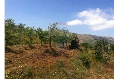 اراضي للبيع في شكا - R9-12 Land for sale in Tanourin, Chekka