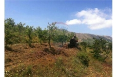 R9-12 Land for sale in Tanourin, Chekka