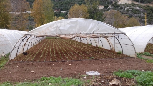 Lands for sale in Kfar Helda - R9-63 Land for Sale in Kfarhelda, Batroun- 5000sqm