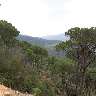 Lands for sale in Jezzine - R9-74 Five Lands for sale in Jezzine, South Leb.