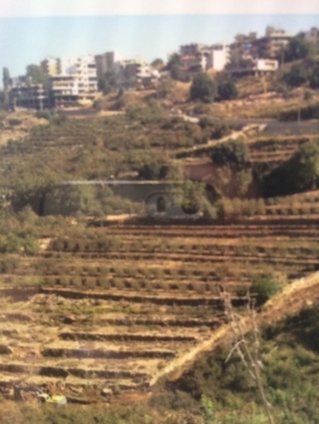 Lands for sale dans Bkah Sefrine - R9-149 Land for sale in Danniyeh, North Lebanon.