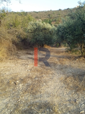 R9-198 Land 14,520 sqm, for Sale in Kantra, Akkar — 7