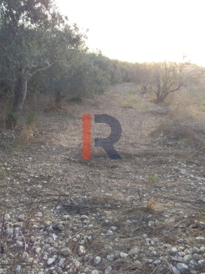 R9-198 Land 14,520 sqm, for Sale in Kantra, Akkar — 10