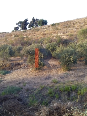 R9-198 Land 14,520 sqm, for Sale in Kantra, Akkar — 5
