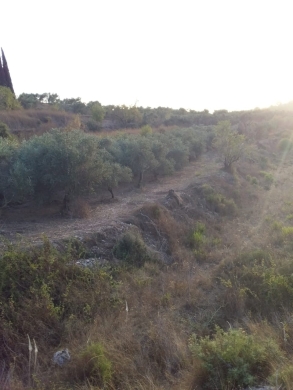 Lands for sale in Kantra - R9-198 Land 14,520 sqm, for Sale in Kantra, Akkar