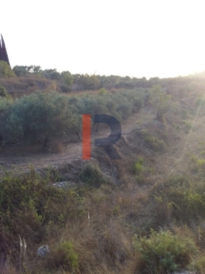 R9-198 Land 14,520 sqm, for Sale in Kantra, Akkar
