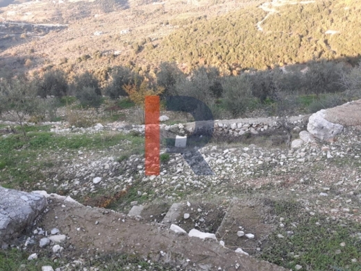 R9-205 Land for Sale in Aamchit, Mount Lebanon — 3