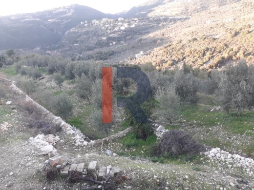 R9-205 Land for Sale in Aamchit, Mount Lebanon — 2