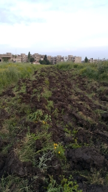 Lands for sale in Halba - R9-224 Land for sale in Halba, Akkar