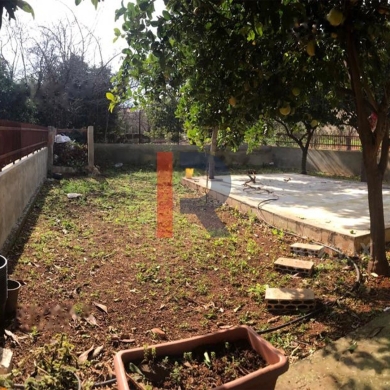 R9-232 Land with 2 built-up houses for sale in Zgharta — 3