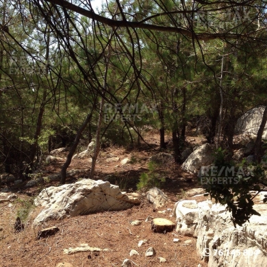 R9-322 Land for sale in Izal ! — 5