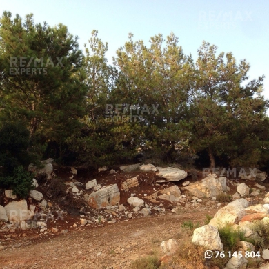 R9-322 Land for sale in Izal ! — 3