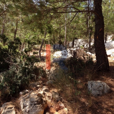 R9-322 Land for sale in Izal ! — 6
