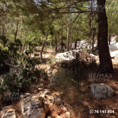 R9-322 Land for sale in Izal ! — 6