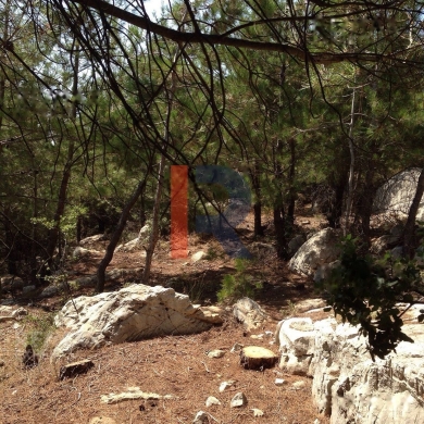 R9-322 Land for sale in Izal ! — 5