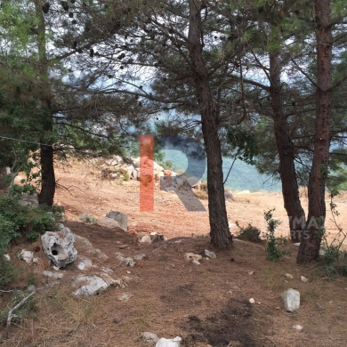R9-322 Land for sale in Izal ! — 2