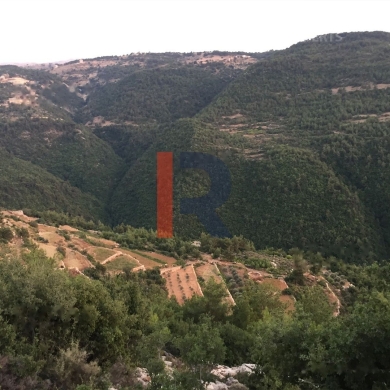 R9-322 Land for sale in Izal ! — 4