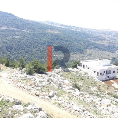 R9-326 Land for sale in Izal ! — 8