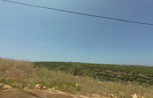 R9-695 Land For Sale In Barsa - Koura