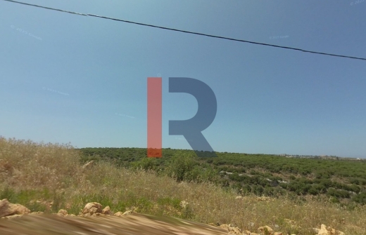 R9-695 Land For Sale In Barsa - Koura
