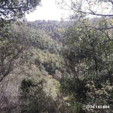اراضي للبيع في البترون - R9-370 Land for Sale in AL Batroun !