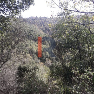R9-370 Land for Sale in AL Batroun !