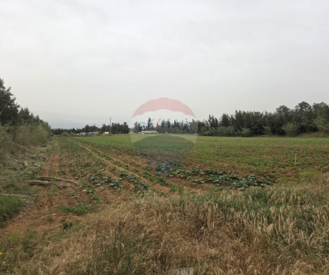 R9-791 Agricultural Land with House for Sale in Romol – Akkar, 103,575 m² أرض زراعية مع بيت قديم للبيع في رومول – عكار، 103,575 م²