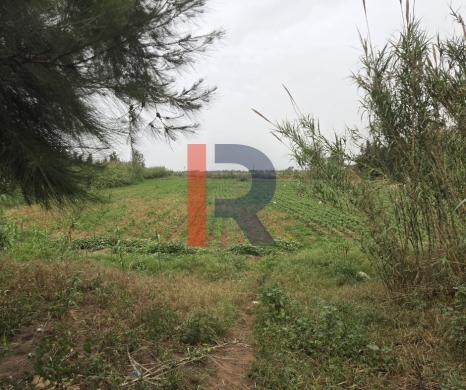 R9-791 Agricultural Land with House for Sale in Romol – Akkar, 103,575 m² — 4