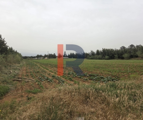 R9-791 Agricultural Land with House for Sale in Romol – Akkar, 103,575 m²