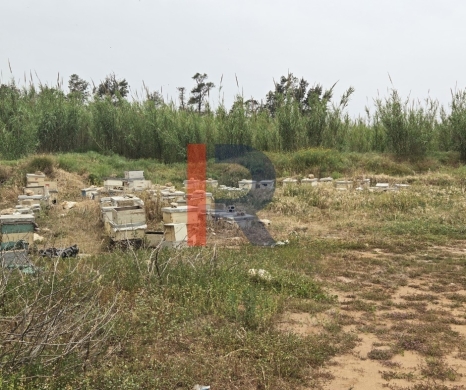 R9-791 Agricultural Land with House for Sale in Romol – Akkar, 103,575 m² — 2