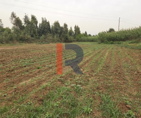 R9-791 Agricultural Land with House for Sale in Romol – Akkar, 103,575 m² — 3