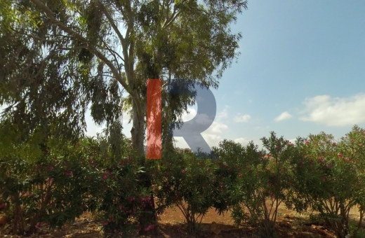 R9-850 Land For Sale In Deddeh - Koura
