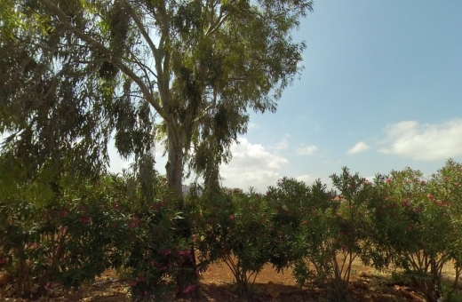 R9-850 Land For Sale In Deddeh - Koura