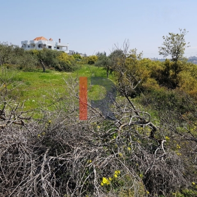 R9-883 Land For Sale in Deddeh-Koura — 4