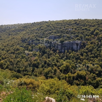 اراضي للبيع في دده - R9-883 Land For Sale in Deddeh-Koura