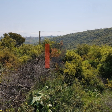 R9-883 Land For Sale in Deddeh-Koura — 3