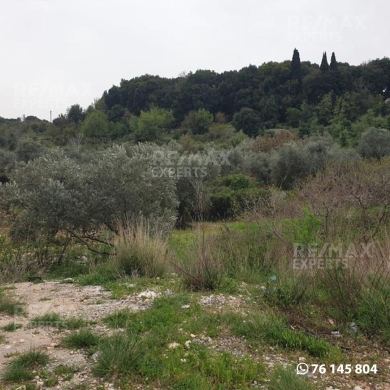 اراضي للبيع في كفيفاني - R9-911 Land For Sale in Kfifan-Batroun