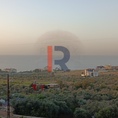 R9-1053 Land For Sale in Ras Maska - Koura — 5