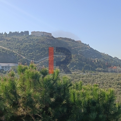 R9-1053 Land For Sale in Ras Maska - Koura