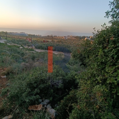 R9-1053 Land For Sale in Ras Maska - Koura — 6
