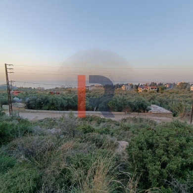 R9-1053 Land For Sale in Ras Maska - Koura — 3
