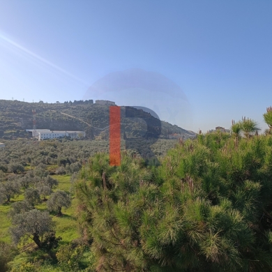 R9-1053 Land For Sale in Ras Maska - Koura — 4