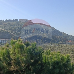 R9-1053 Land For Sale in Ras Maska - Koura