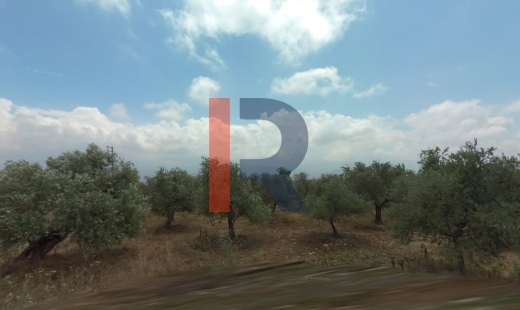 R9-1128 Land for Sale in Qalamoun – 1100 m², Panoramic Sea View